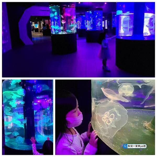 22-04-27-07-59-54-499_deco