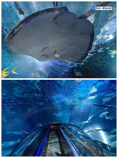 22-04-27-06-31-00-450_deco2