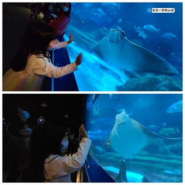 22-04-27-06-30-27-556_deco