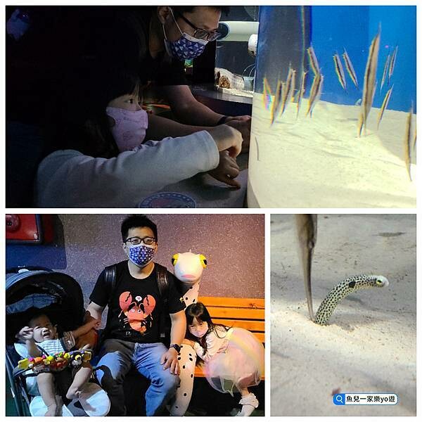 22-04-27-06-20-56-618_deco