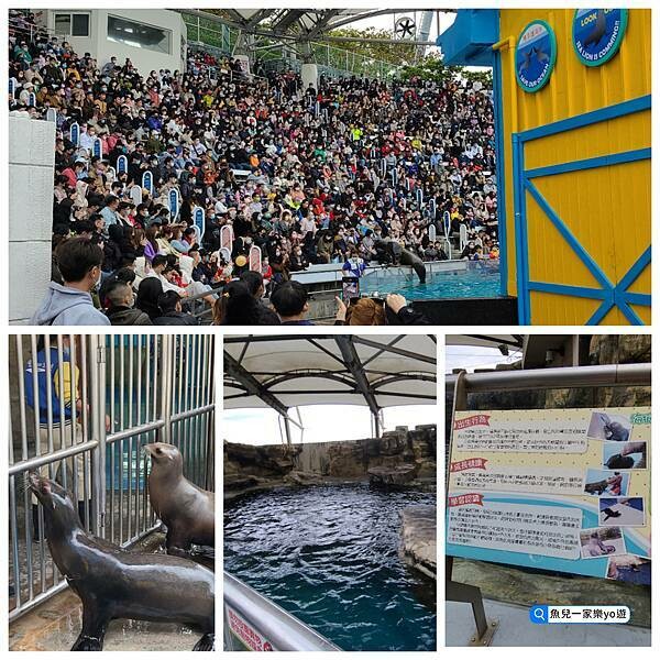 22-04-27-06-35-03-200_deco