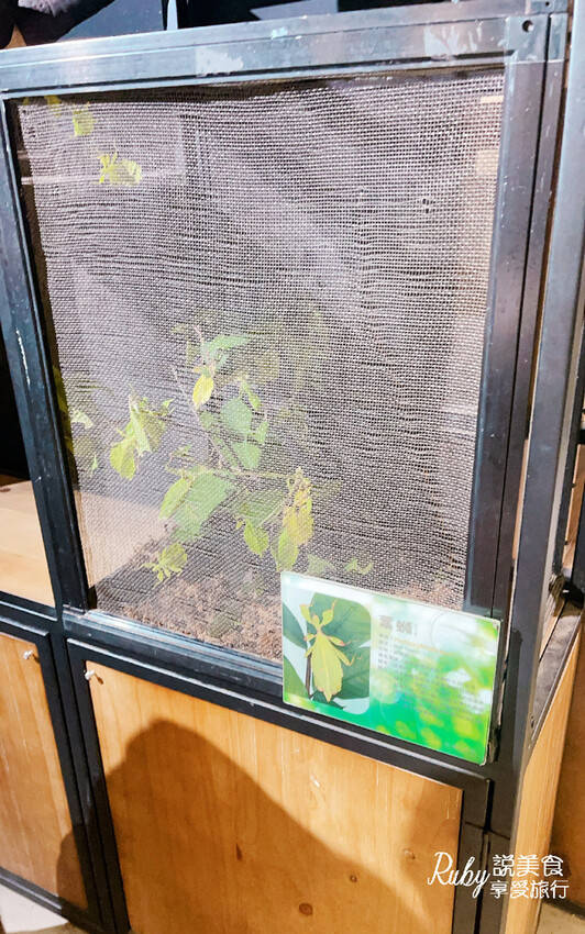 IMG_9441.jpg IMG_9441.jpg