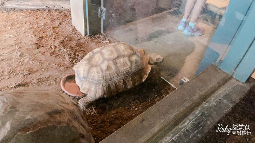 IMG_9432.jpg IMG_9432.jpg