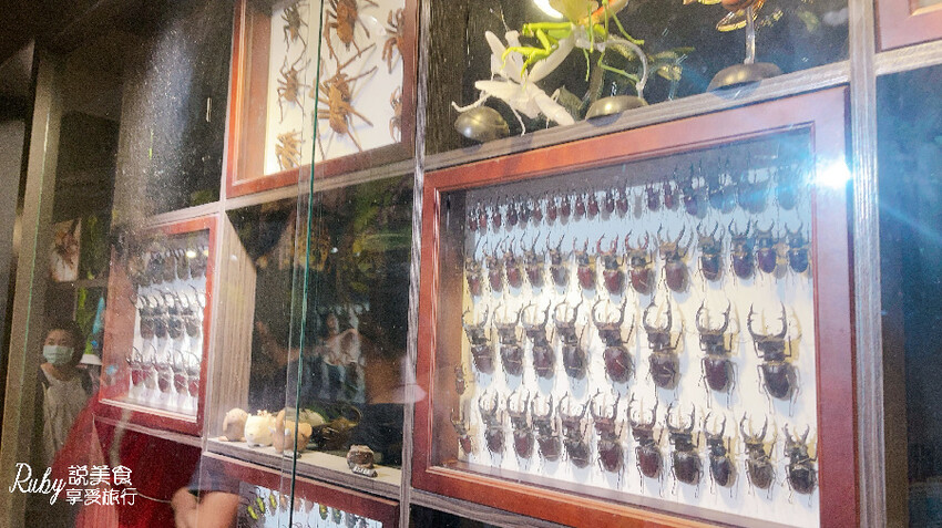 IMG_9446.jpg IMG_9446.jpg