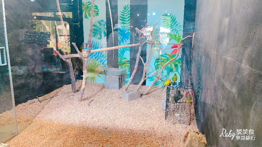 IMG_9428.jpg IMG_9428.jpg