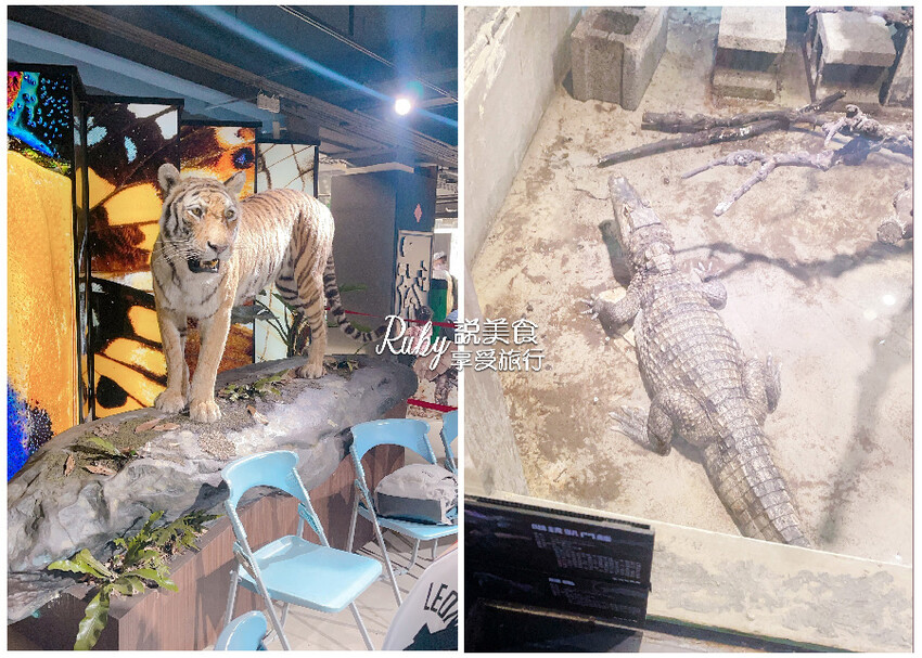 組合圖.jpg 組合圖.jpg