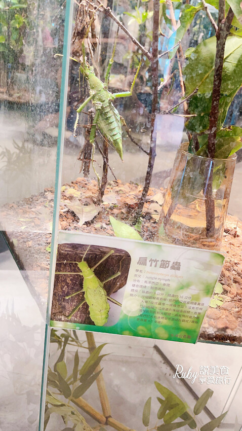 IMG_9440.jpg IMG_9440.jpg