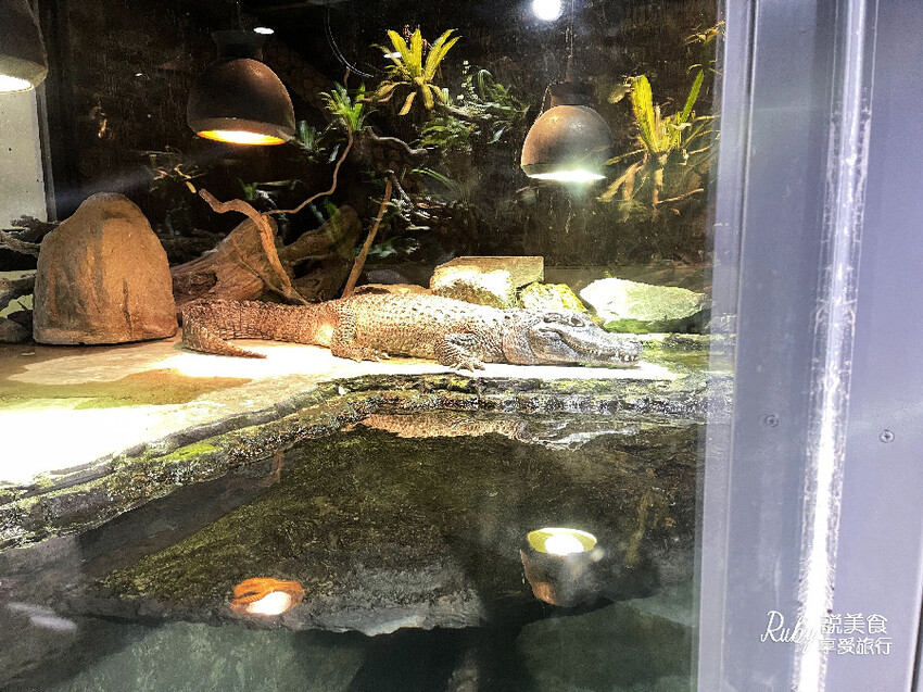 IMG_1837.jpg IMG_1837.jpg