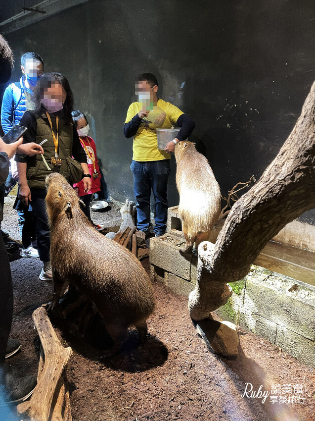 IMG_1819.jpg IMG_1819.jpg