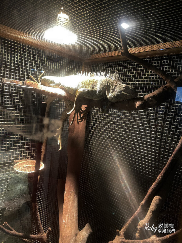 IMG_1809.jpg IMG_1809.jpg