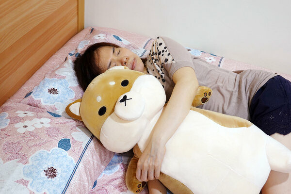 Beroso倍麗森傲嘟嘟の柴之助玩偶抱枕，紓壓布偶、療癒娃娃 (29).jpg