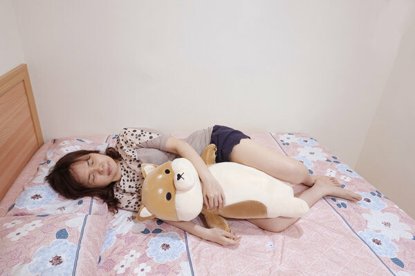 Beroso倍麗森傲嘟嘟の柴之助玩偶抱枕，紓壓布偶、療癒娃娃 (30).jpg