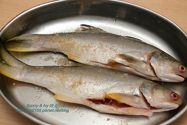 IMG_2038.JPG IMG_2038.JPG