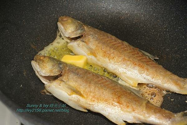 IMG_2048.JPG IMG_2048.JPG