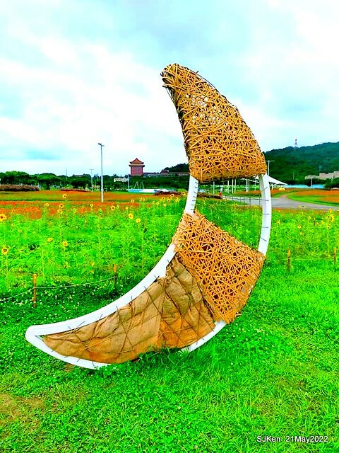 「大佳河濱公園花海」  (Cosmos, African Marigold, sunflower and Pennisetum alopecuroidesat Dajia Riverside Park), Taipei, Taiwan, May 21, 2022.