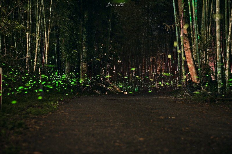 batch_StarStaX_DSC00038-DSC00042_lighten-1