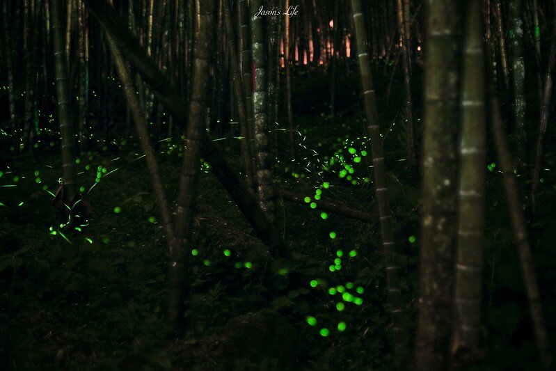 batch_StarStaX_DSC00031-DSC00032_lighten-5