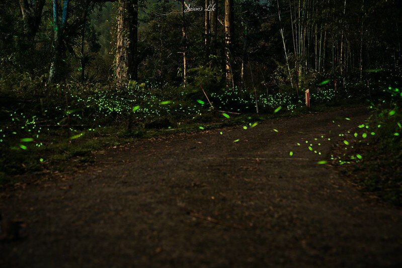 batch_StarStaX_DSC00034-DSC00035_lighten-4