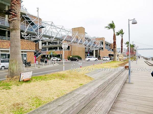 唐戶市場 (8).JPG