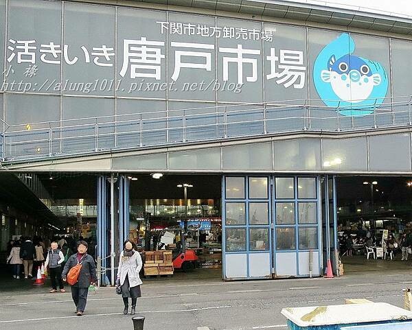 唐戶市場 (41).JPG