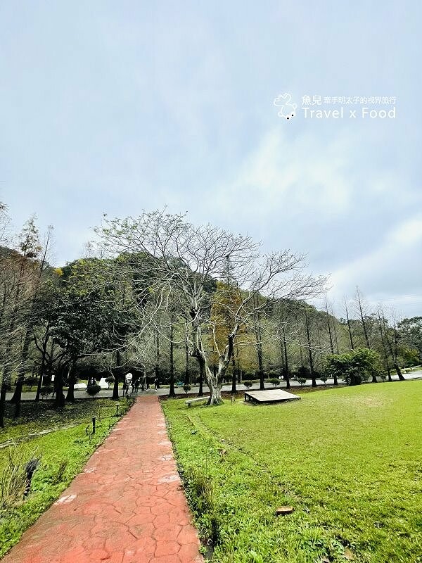 小森之歌|綠草如茵,步道完善,浪漫如同冬季戀歌場景,供應餐點與森林野餐,親子寵物友善適合闔家出遊 @魚兒 x 牽手明太子的「視」界旅行