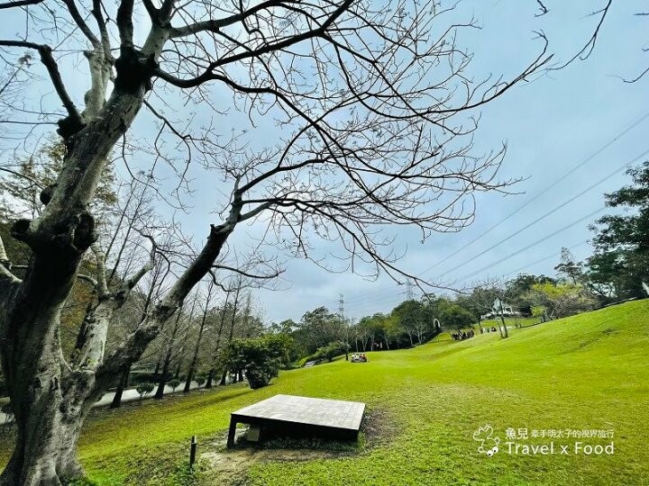 小森之歌|綠草如茵,步道完善,浪漫如同冬季戀歌場景,供應餐點與森林野餐,親子寵物友善適合闔家出遊 @魚兒 x 牽手明太子的「視」界旅行