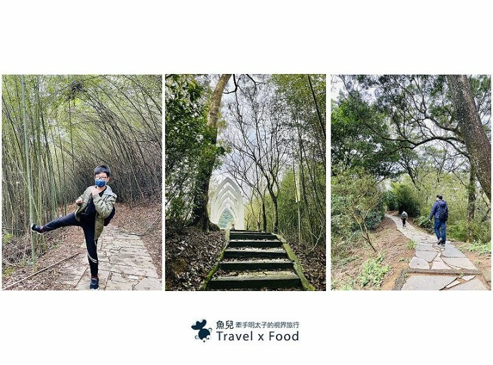 小森之歌|綠草如茵,步道完善,浪漫如同冬季戀歌場景,供應餐點與森林野餐,親子寵物友善適合闔家出遊 @魚兒 x 牽手明太子的「視」界旅行
