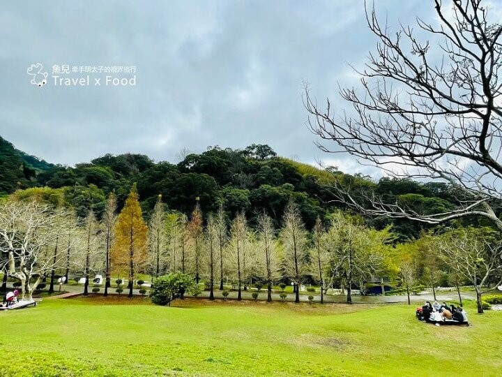 小森之歌|綠草如茵,步道完善,浪漫如同冬季戀歌場景,供應餐點與森林野餐,親子寵物友善適合闔家出遊 @魚兒 x 牽手明太子的「視」界旅行