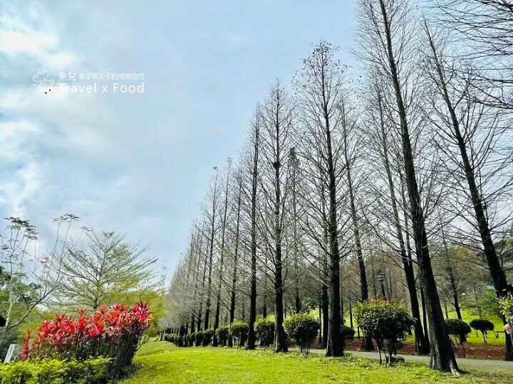 小森之歌|綠草如茵,步道完善,浪漫如同冬季戀歌場景,供應餐點與森林野餐,親子寵物友善適合闔家出遊 @魚兒 x 牽手明太子的「視」界旅行
