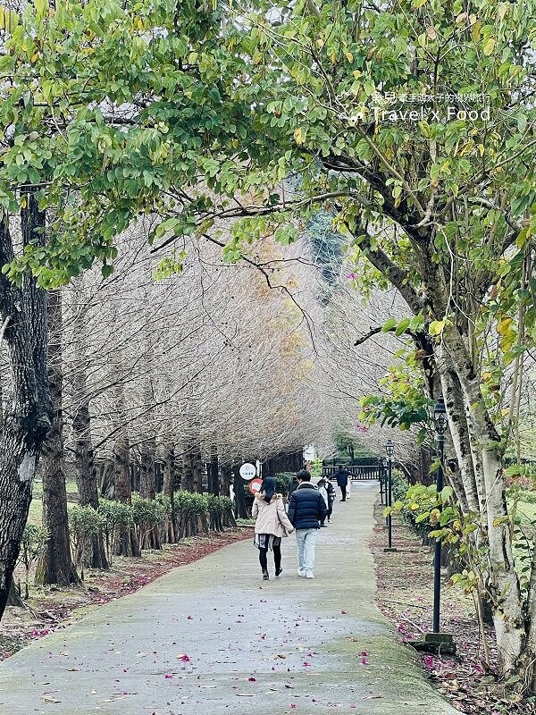 小森之歌|綠草如茵,步道完善,浪漫如同冬季戀歌場景,供應餐點與森林野餐,親子寵物友善適合闔家出遊 @魚兒 x 牽手明太子的「視」界旅行
