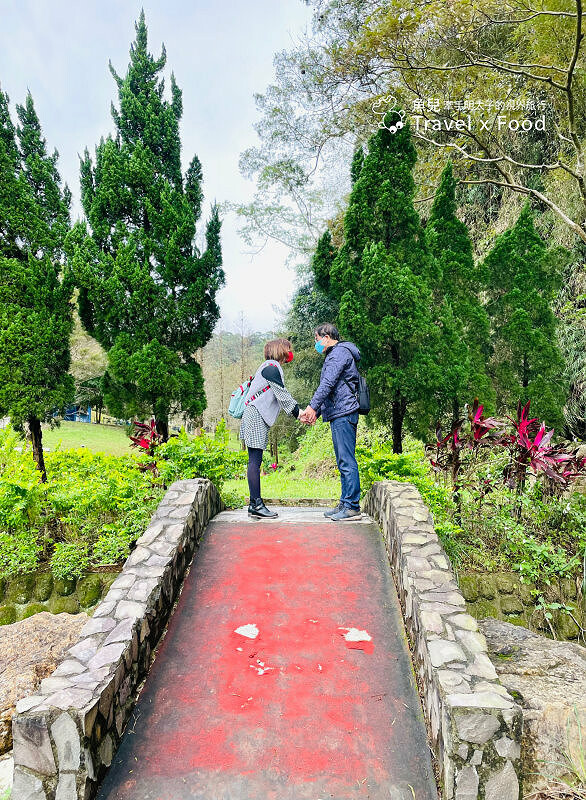 小森之歌|綠草如茵,步道完善,浪漫如同冬季戀歌場景,供應餐點與森林野餐,親子寵物友善適合闔家出遊 @魚兒 x 牽手明太子的「視」界旅行