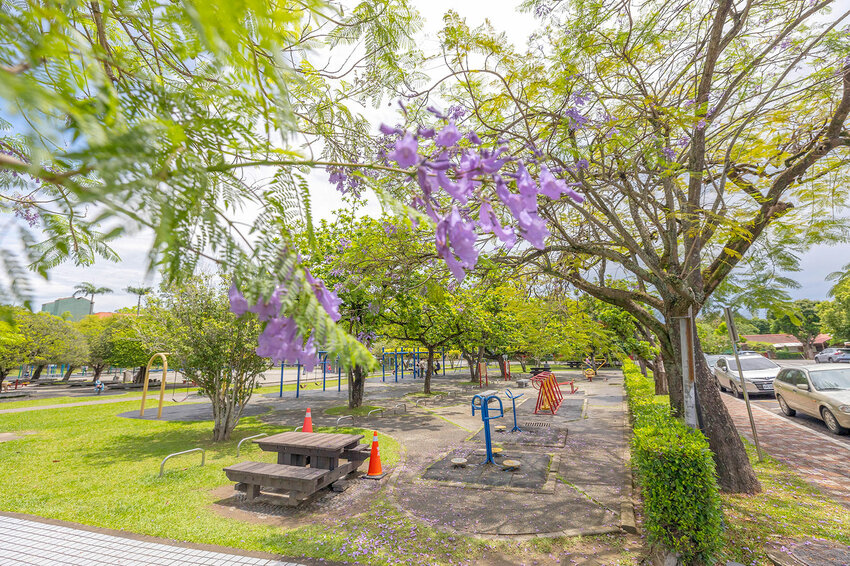 中興新村美食三寶-中興新村一日遊懶人包