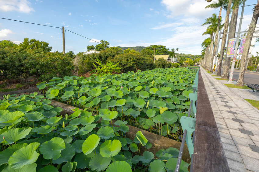 中興新村美食三寶-中興新村一日遊懶人包