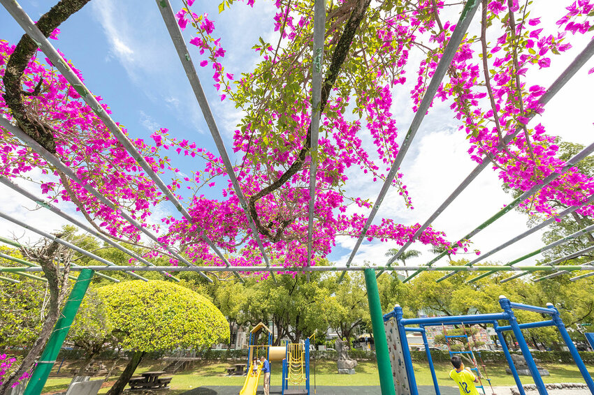 中興新村美食三寶-中興新村一日遊懶人包