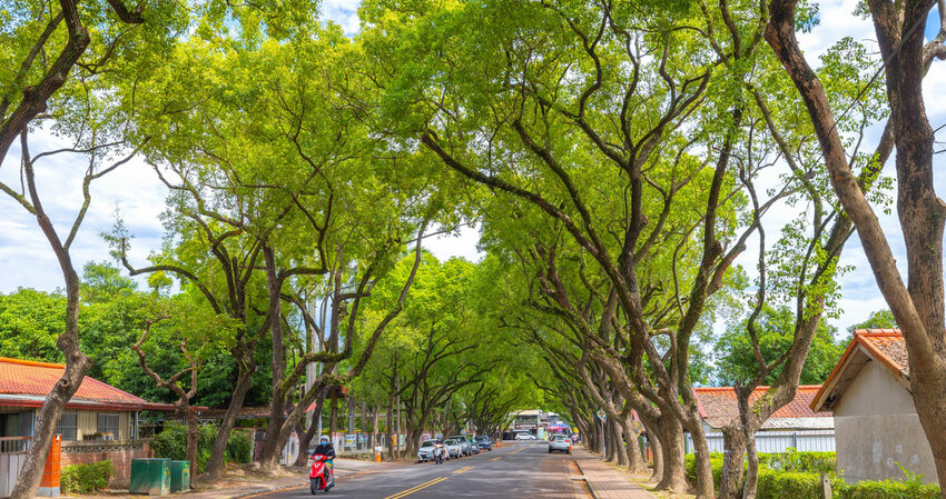 中興新村美食三寶-中興新村一日遊懶人包