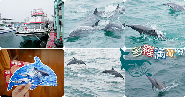 多羅滿賞鯨-01.jpg 多羅滿賞鯨-01.jpg