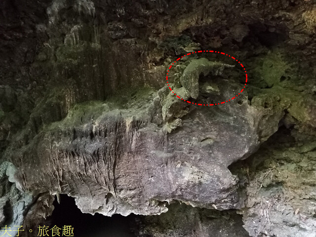 IMG_20220329_083337-1.jpg - 綠島 觀音洞 海參坪 202203228