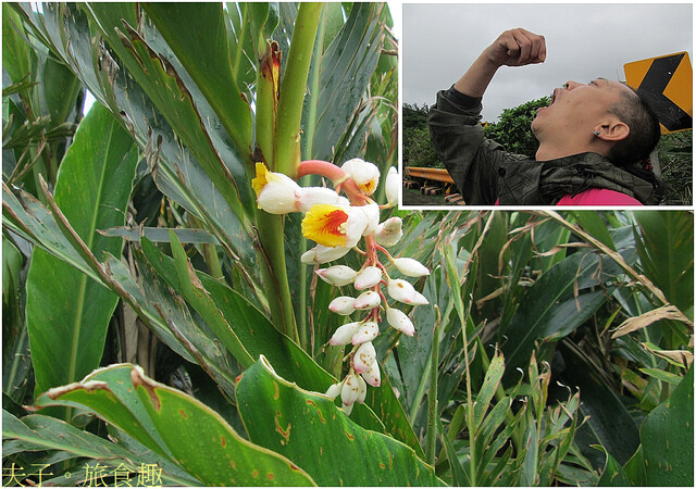 741721.jpg - 綠島 觀音洞 海參坪 202203228