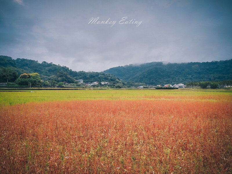 20220417_065733 20220417_065733