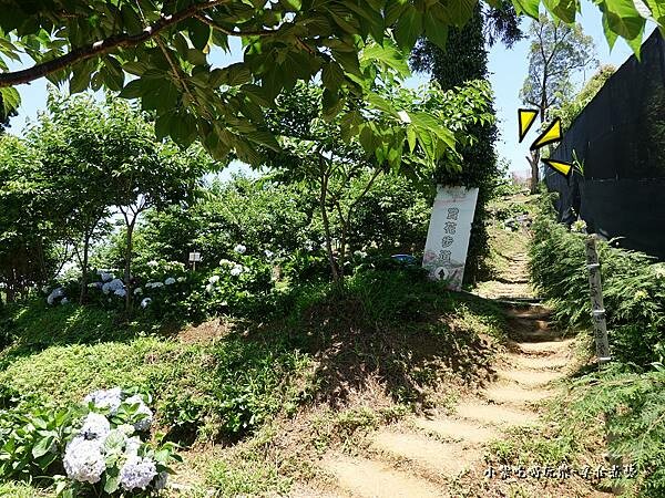 北橫-陽光休閒農莊 (31).jpg