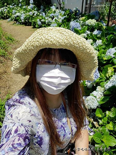 北橫-陽光休閒農莊 (8).jpg