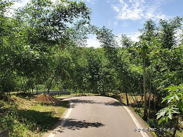 枕頭山魅力商圈產道道路(一角) (1).jpg