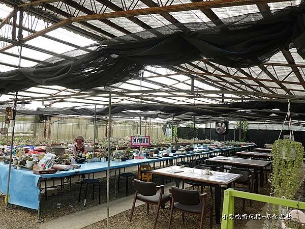 DIY區-中興花卉農場.jpg