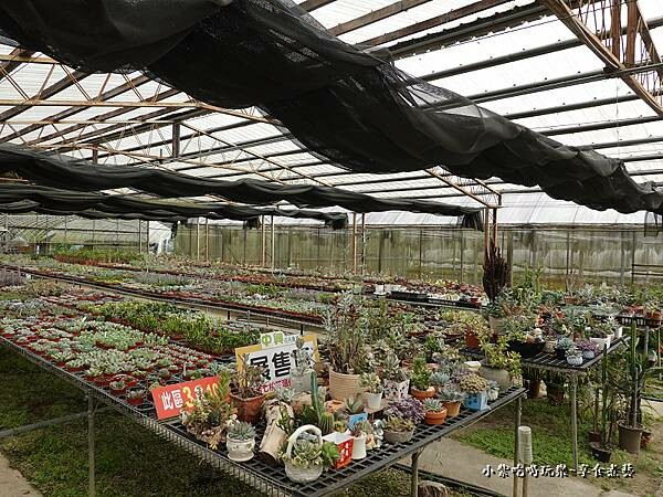 桃園北橫-中興花卉農場 (3).jpg