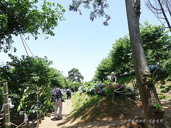 北橫-陽光休閒農莊 (17).jpg