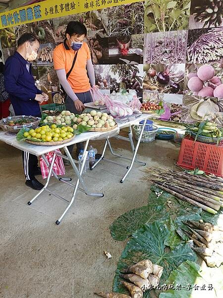 北橫-陽光休閒農莊 (46).jpg