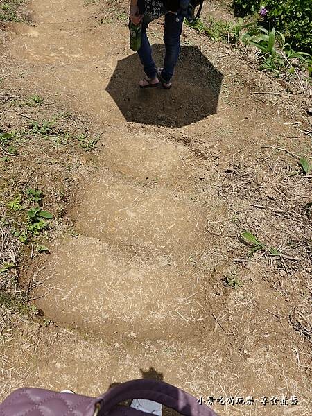 北橫-陽光休閒農莊 (2).jpg