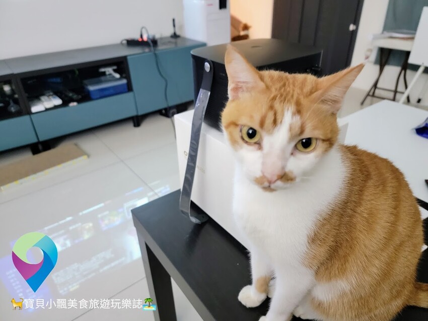 [智慧開箱]漫反射原理避免藍光傷害 入門初階款 帶你進入體驗無框電視新境界 OVO 無框電視 智慧投影機 - 寶貝小飄美食旅遊玩樂誌