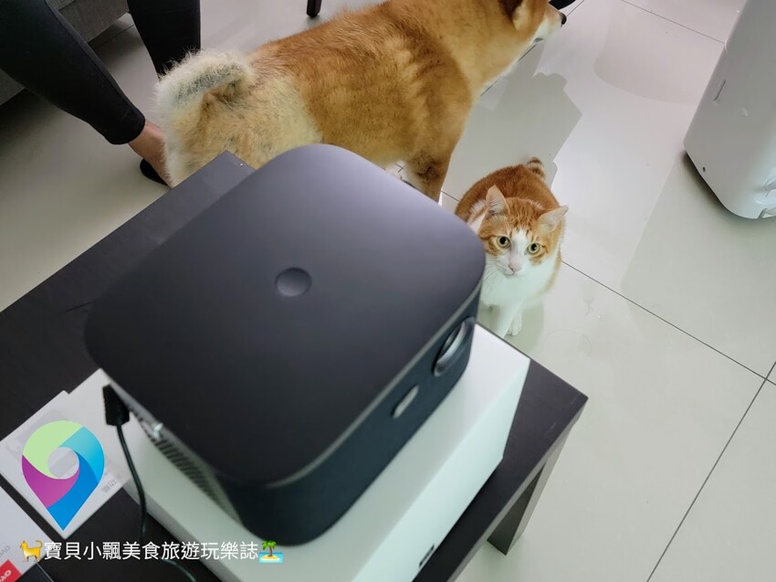 [智慧開箱]漫反射原理避免藍光傷害 入門初階款 帶你進入體驗無框電視新境界 OVO 無框電視 智慧投影機 - 寶貝小飄美食旅遊玩樂誌