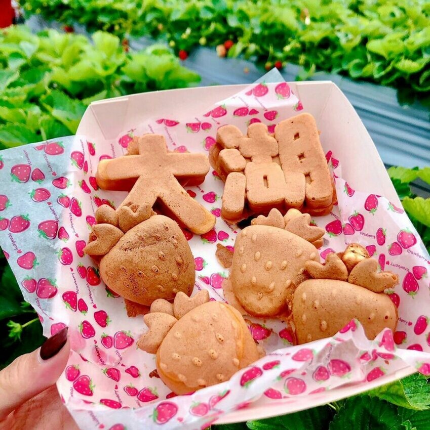 苗栗美食｜大湖鄉｜Hen厚食雞蛋糕